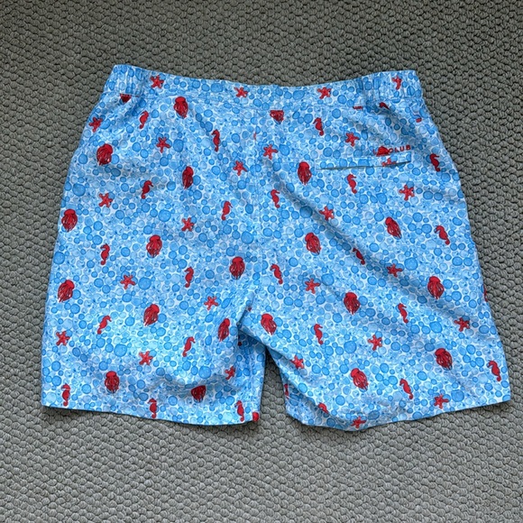 Men’s Bathing Suit - Picture 2 of 2